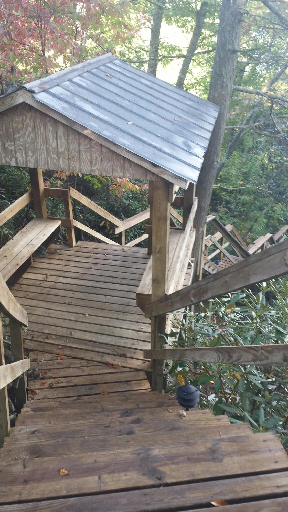 Metal roofed shelter over wooden steps on a wooded walkway — Skylight Repair & Installation work by our crew in Mercer Island