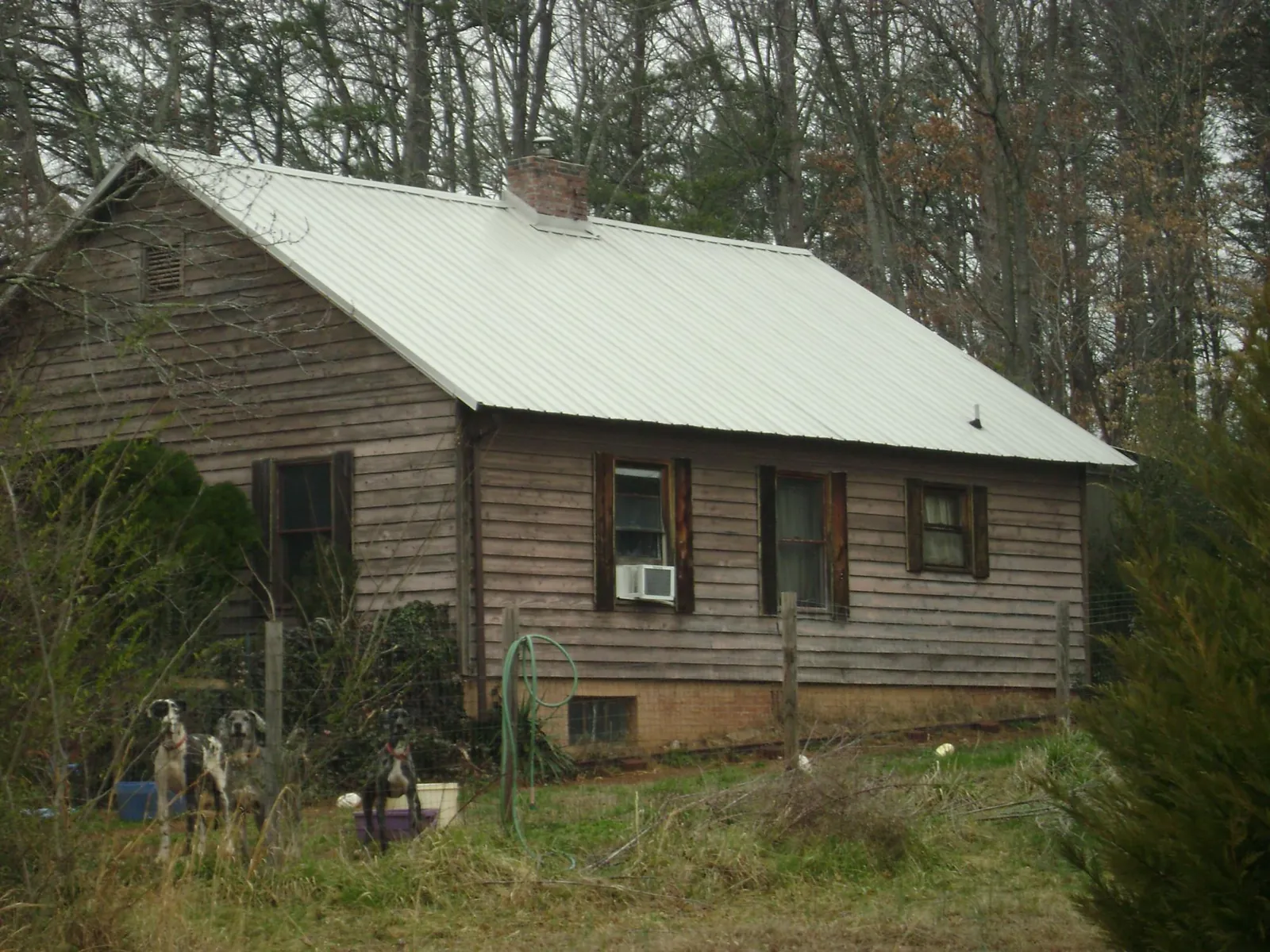White metal roof on an old wood sided farmhouse, from a Asphalt Shingle Roof Repair job in Mercer Island